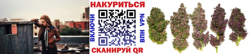 Где купить наркоту Шумиха COCAIN Каннабис МЕТАДОН ГАШИШ Меф мяу мяу Alpha-PVP