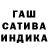 Конопля сатива Abby N