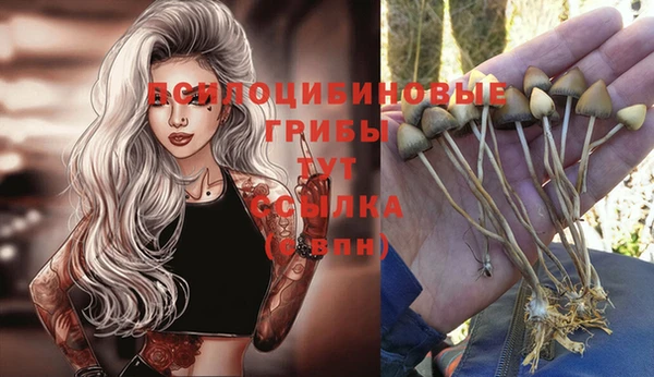 ешки Белоозёрский