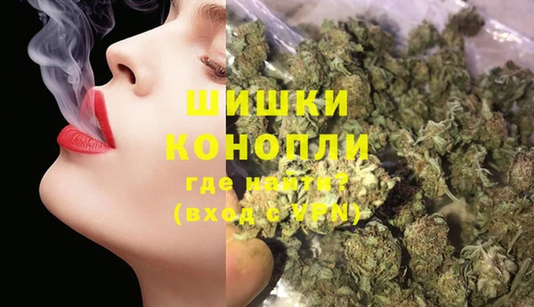 шишки Беломорск