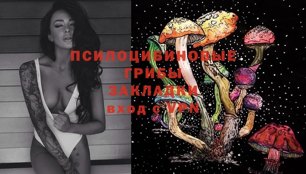 шишки Беломорск
