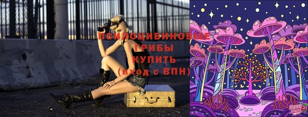 ешки Белоозёрский