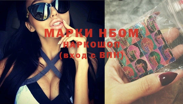 шишки Беломорск