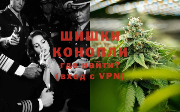 шишки Беломорск