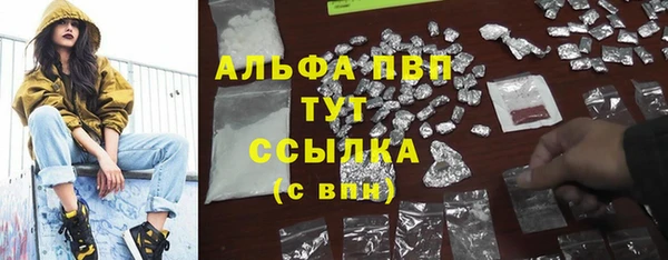 шишки Беломорск