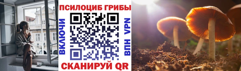 omg как зайти  Шумиха  Галлюциногенные грибы Cubensis 